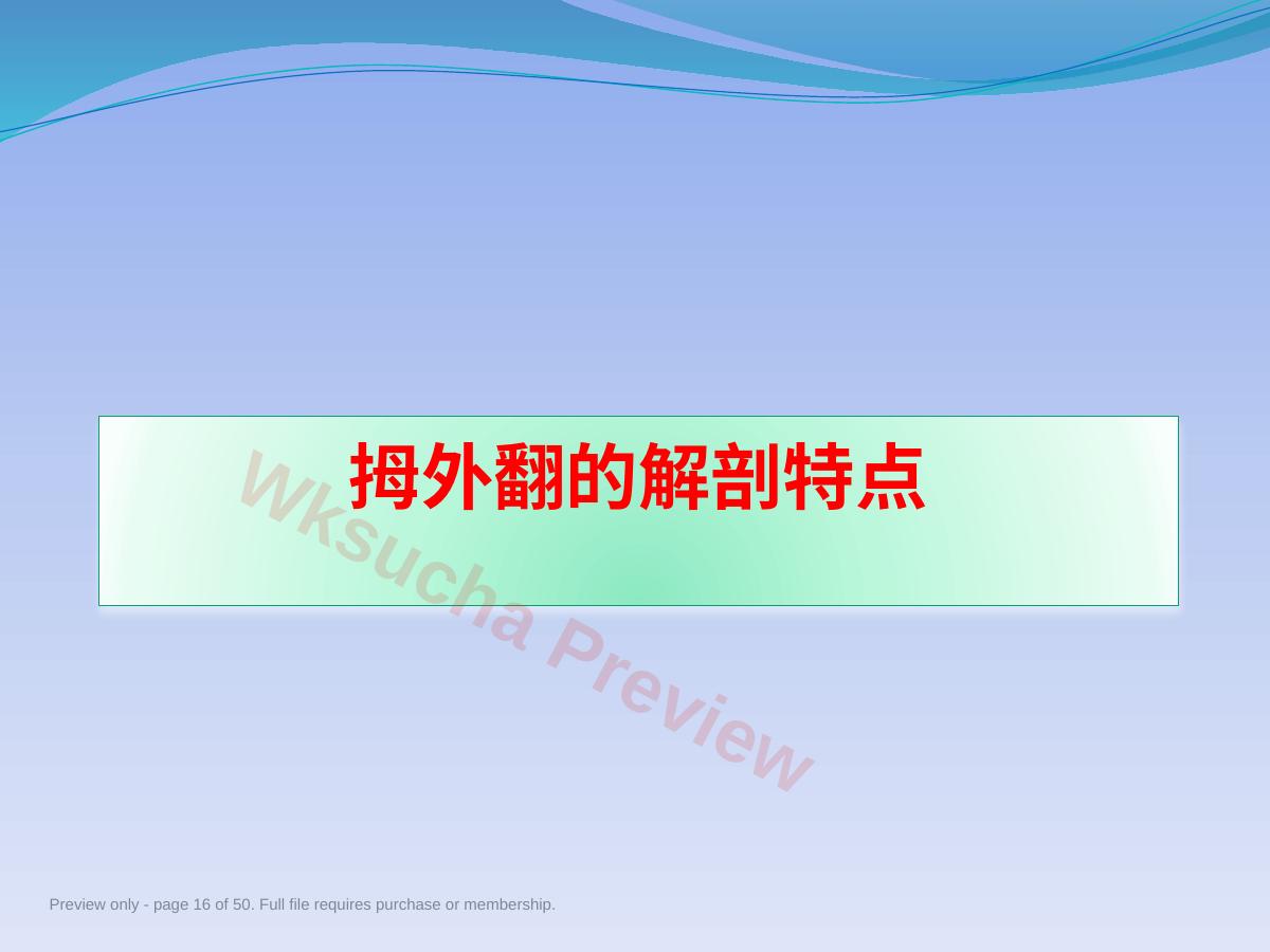 预览第 16 页