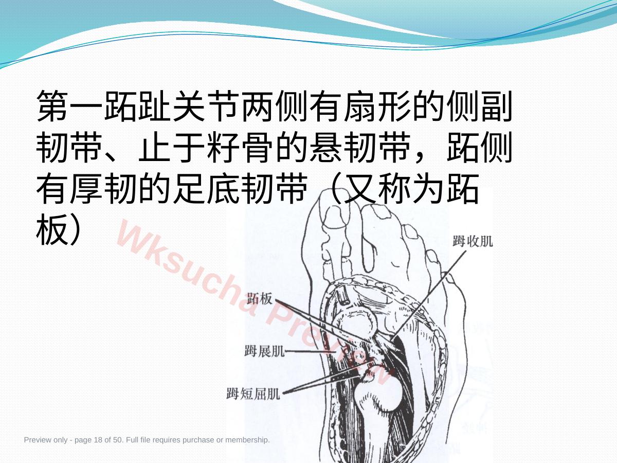 预览第 18 页