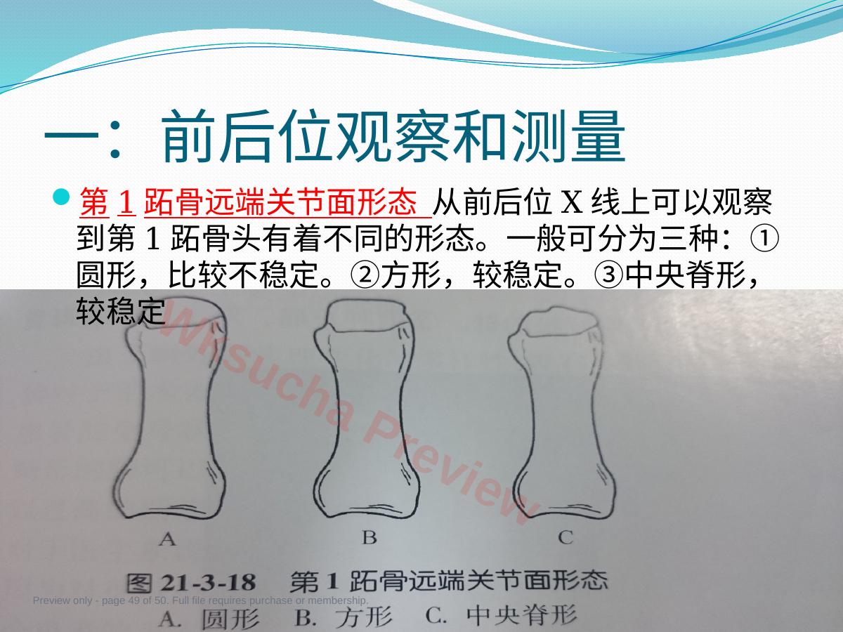 预览第 49 页