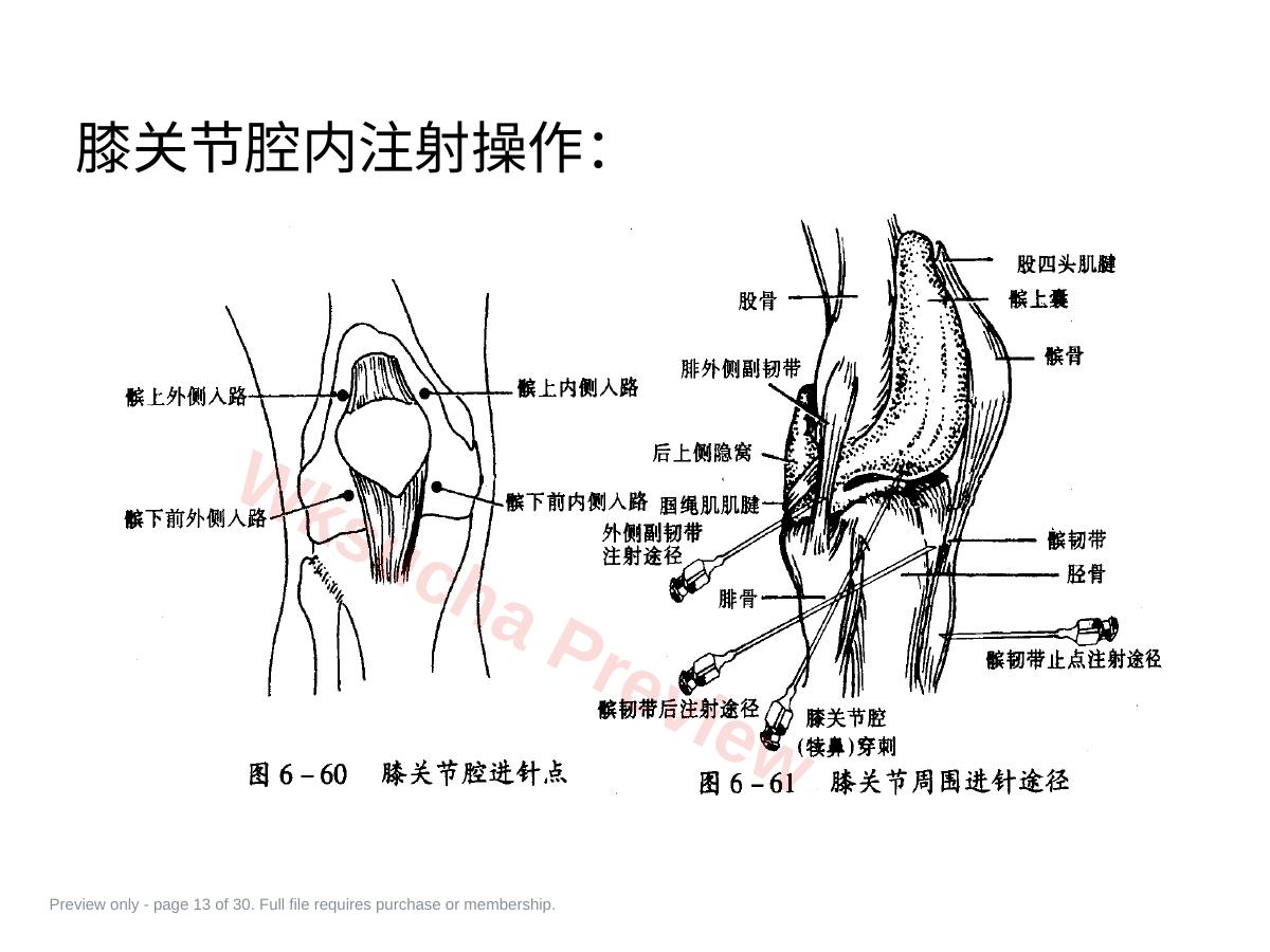 预览第 13 页