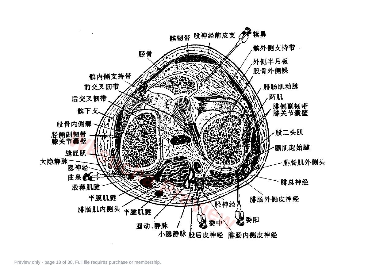 预览第 18 页