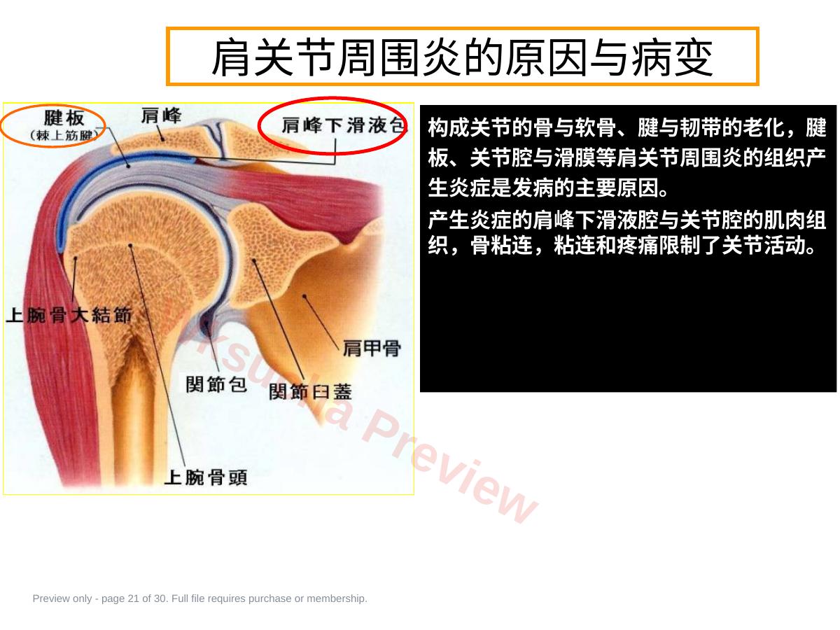 预览第 21 页