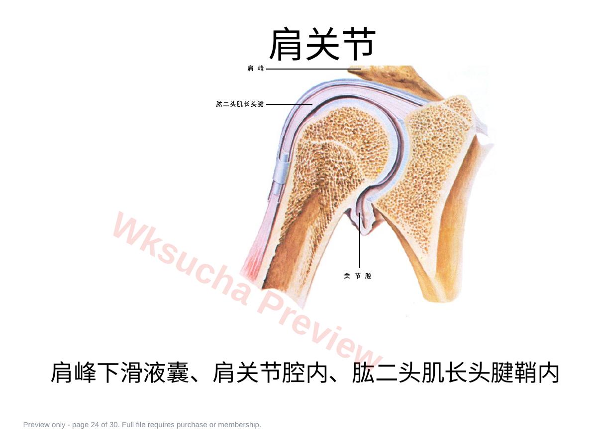 预览第 24 页