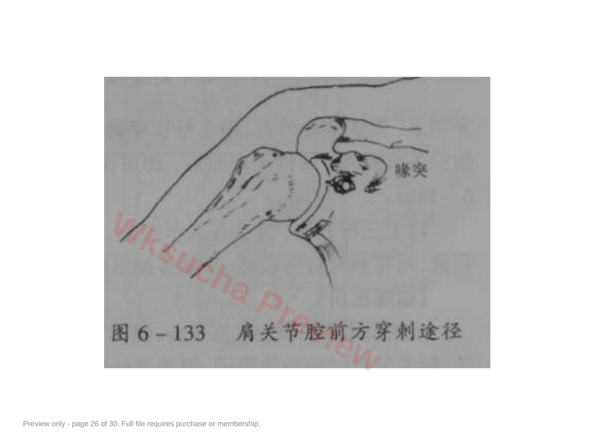 预览第 26 页