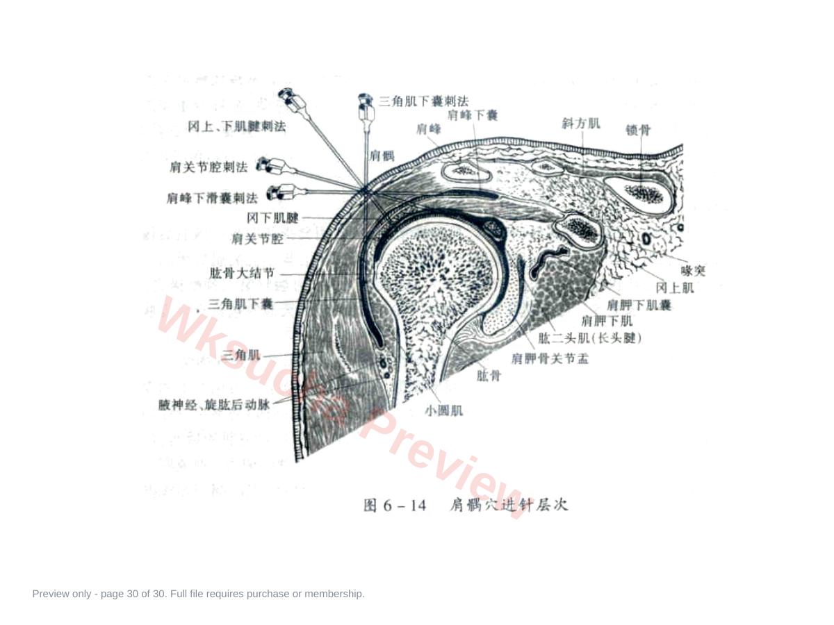 预览第 30 页