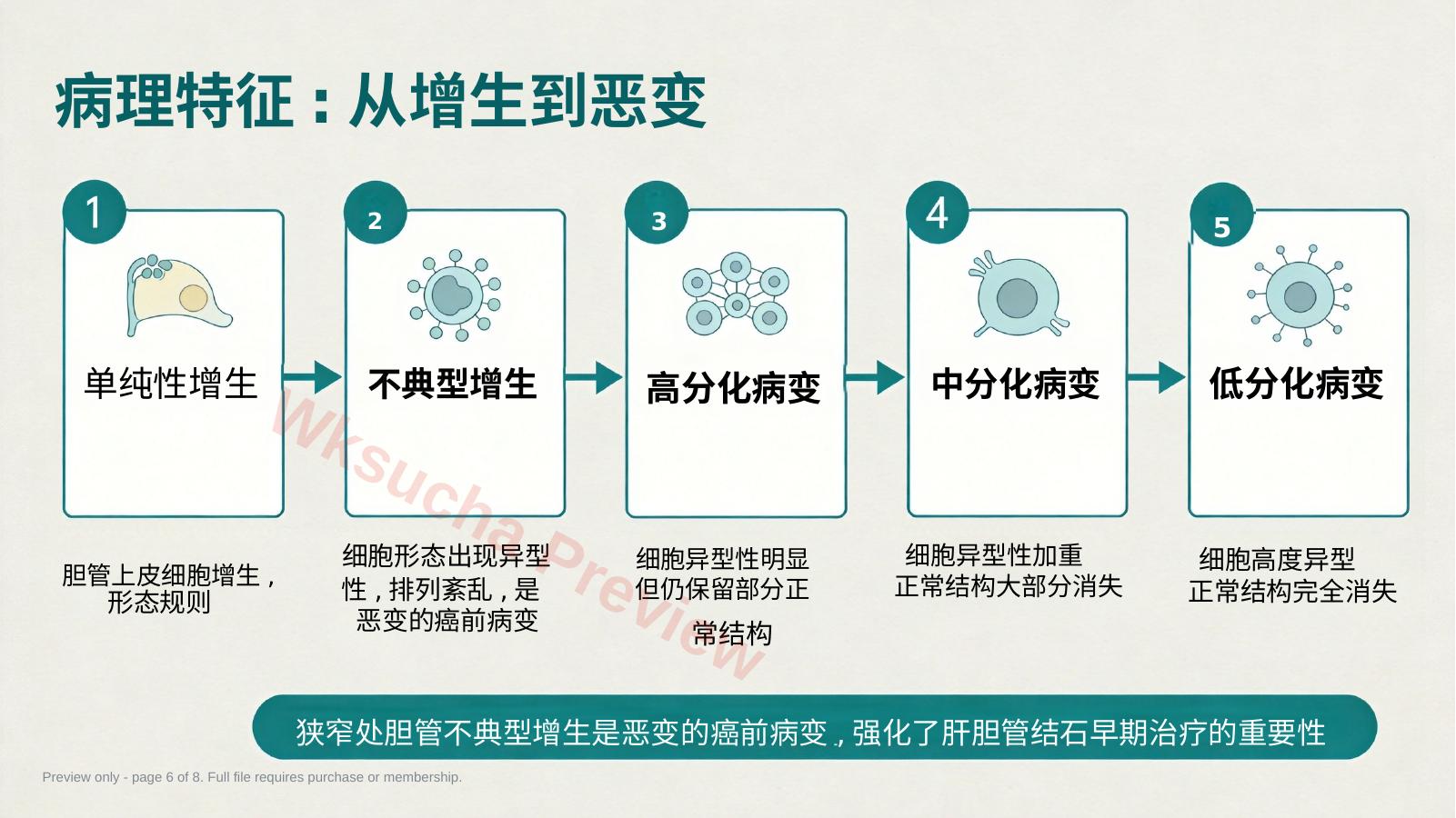 预览第 6 页