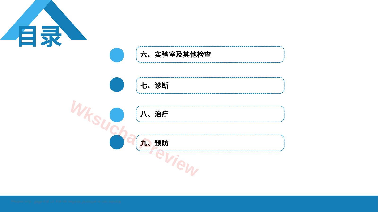 预览第 4 页