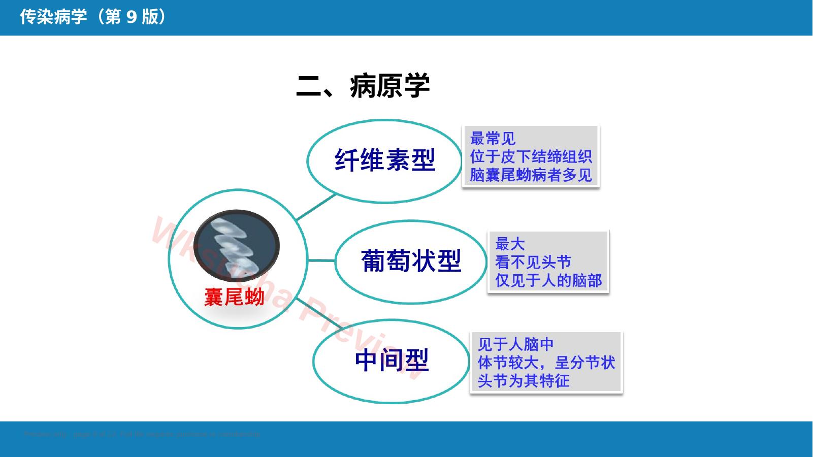 预览第 9 页