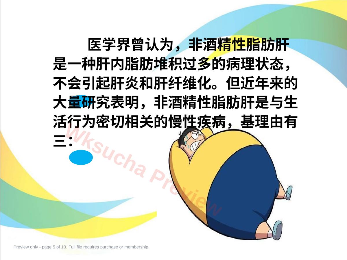 预览第 5 页