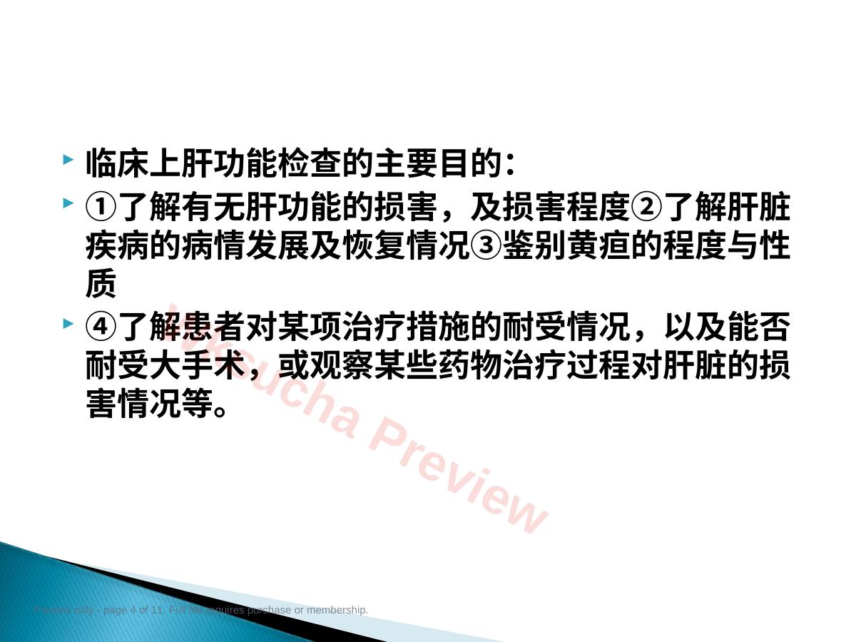 预览第 4 页