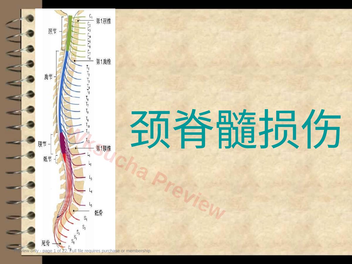 颈脊髓损伤课件
