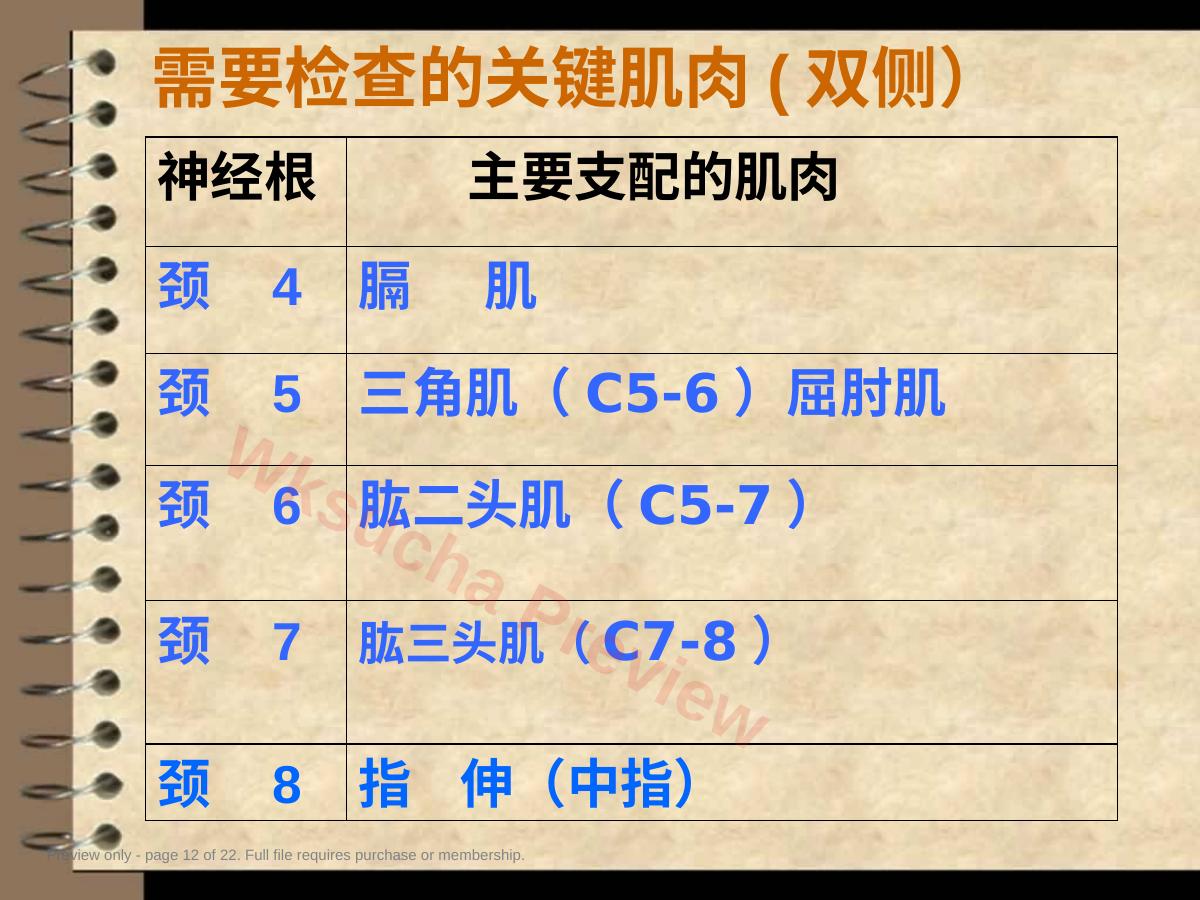 预览第 12 页