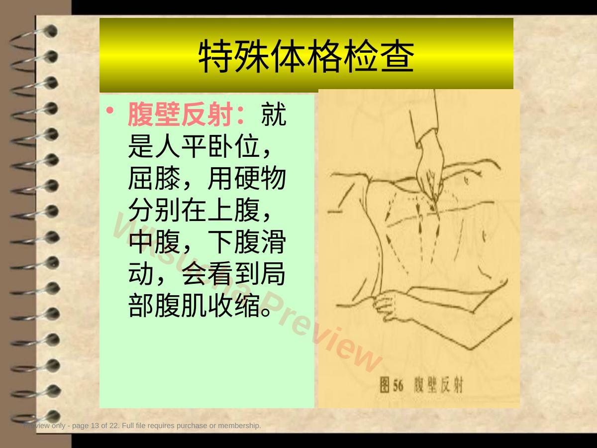 预览第 13 页