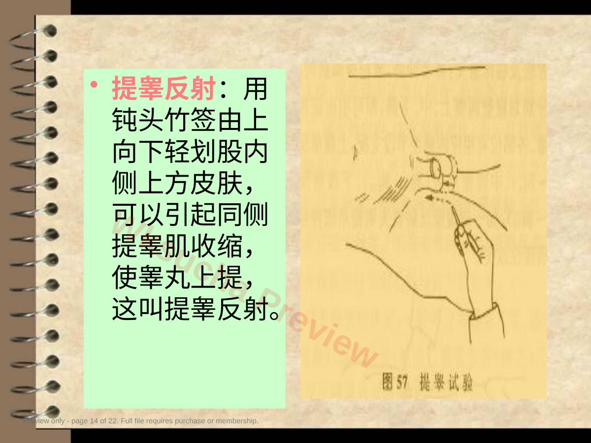 预览第 14 页