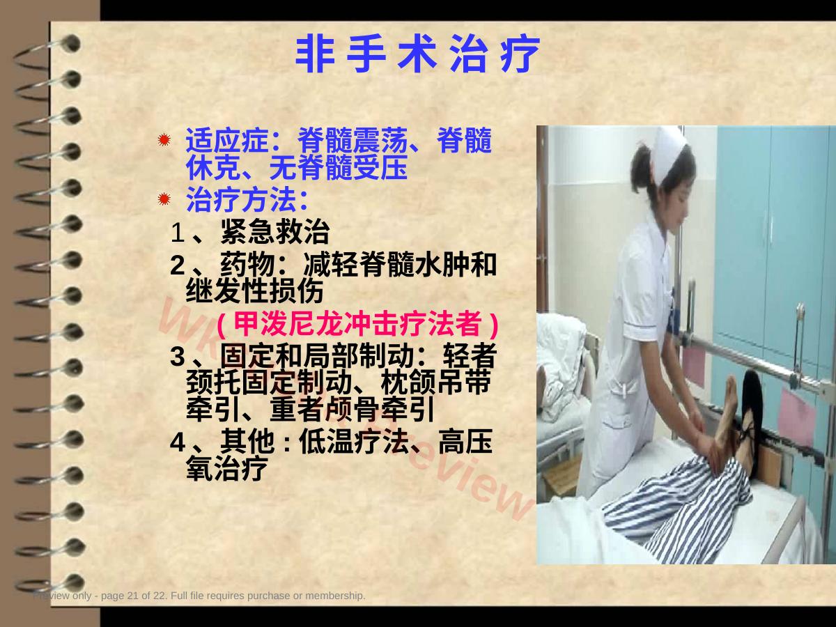 预览第 21 页
