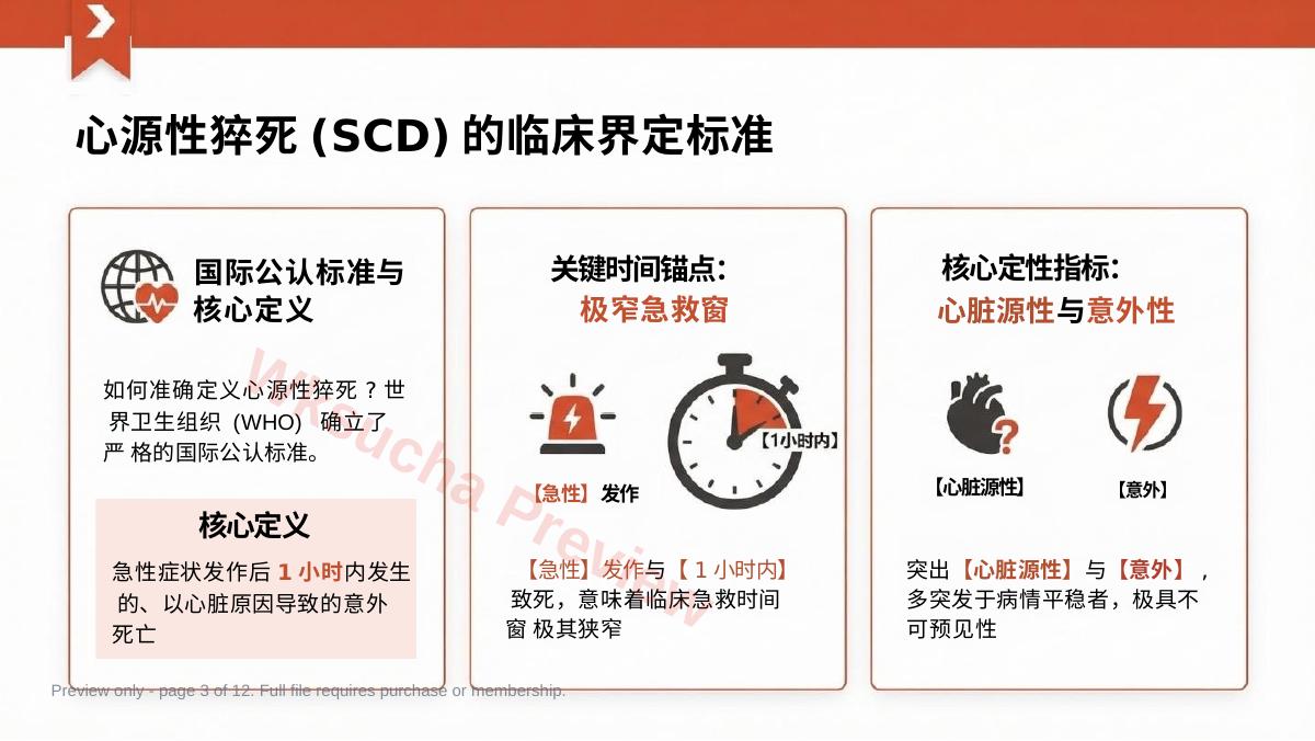 预览第 3 页