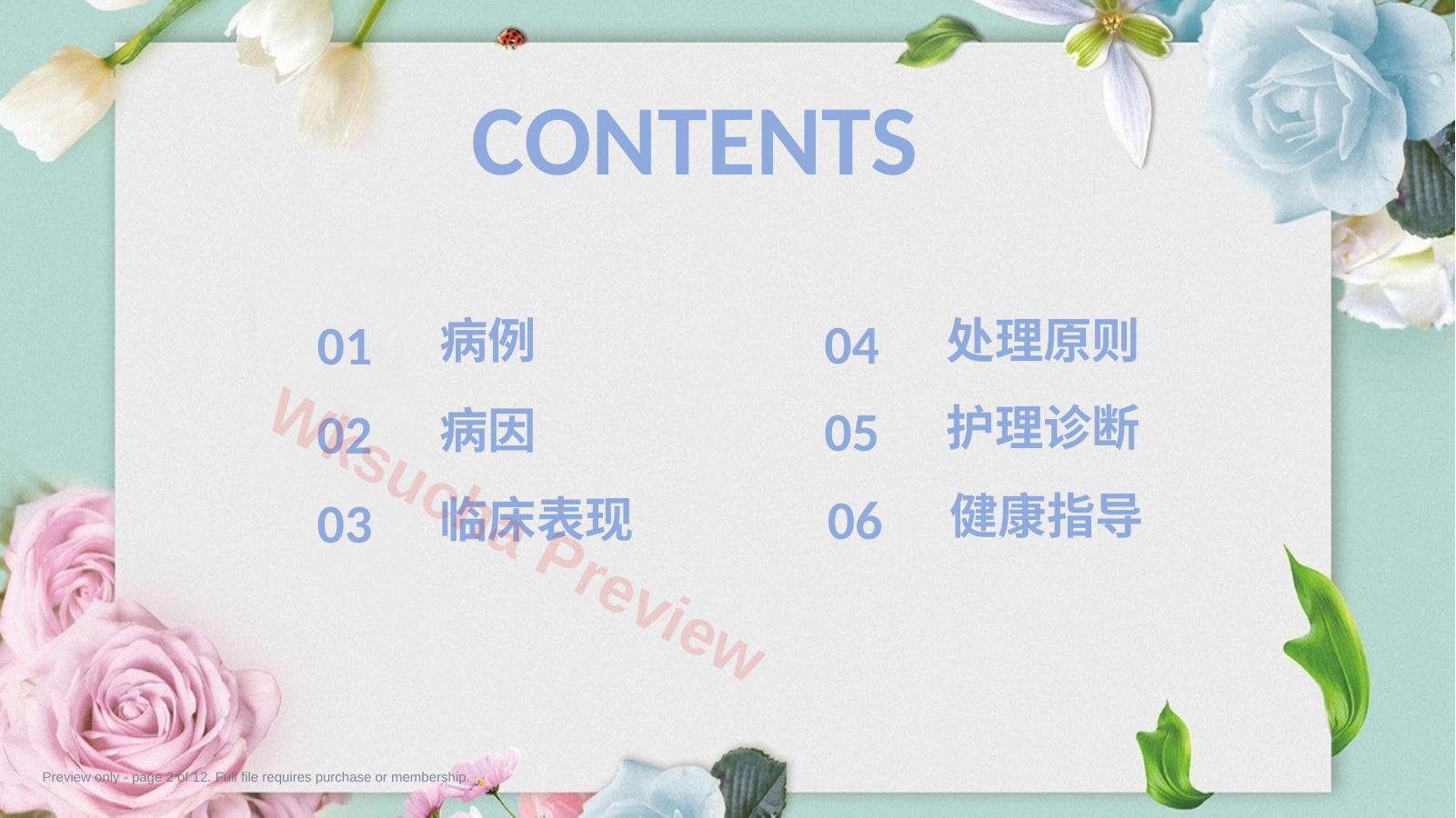 预览第 2 页