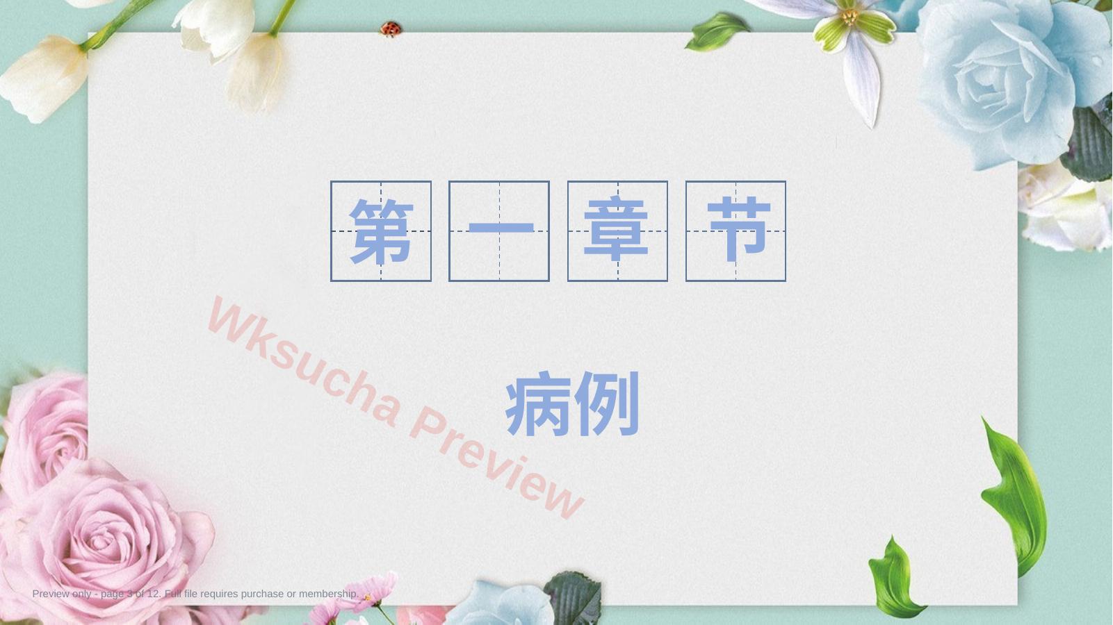 预览第 3 页