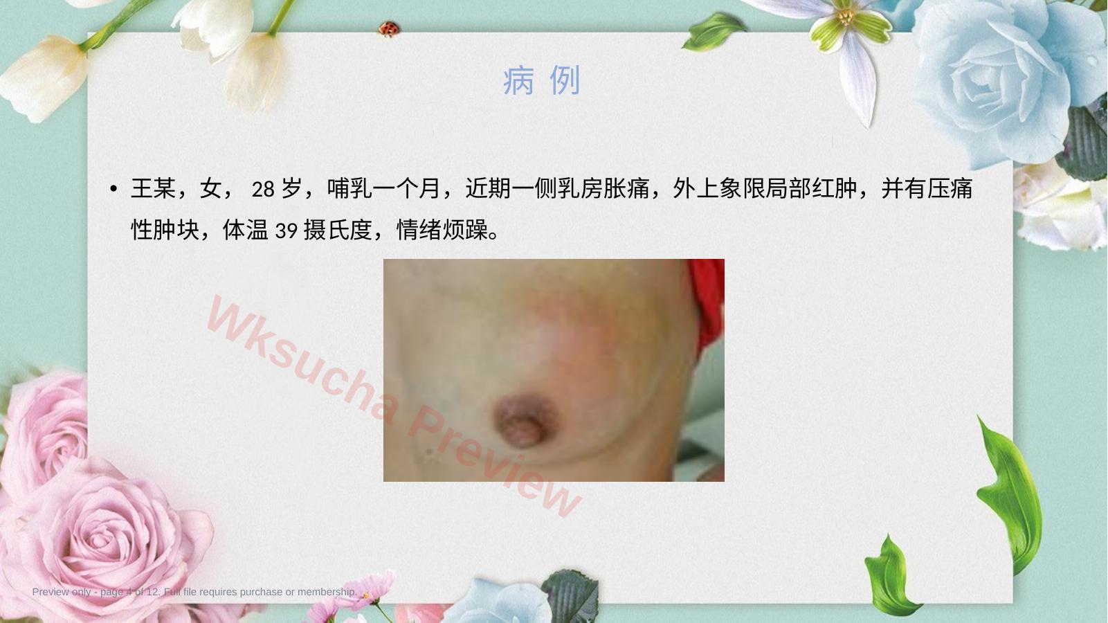 预览第 4 页