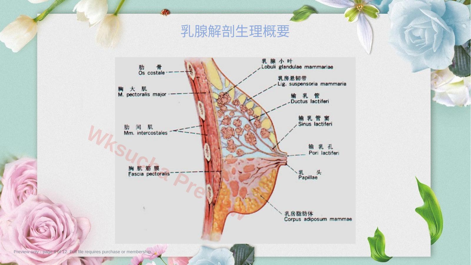 预览第 6 页