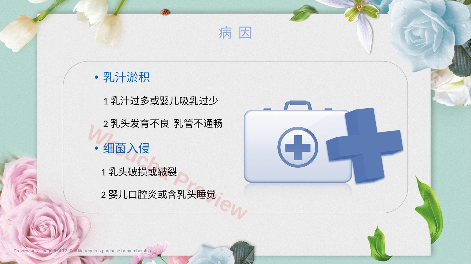 预览第 9 页