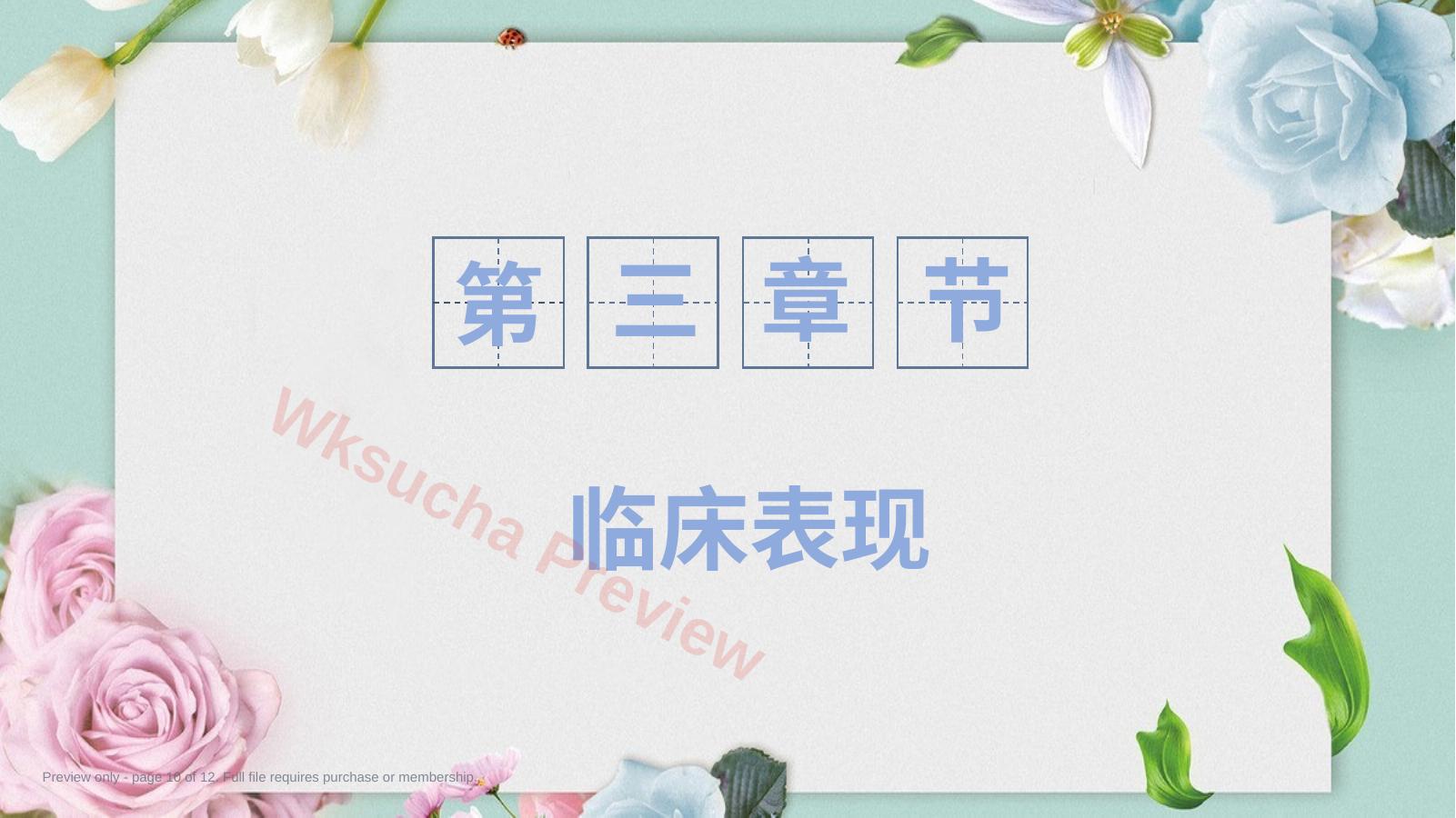 预览第 10 页