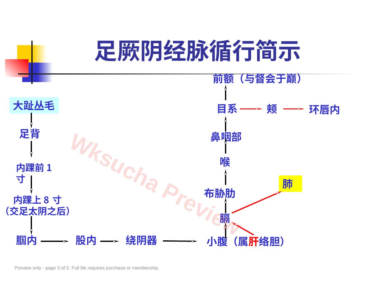 预览第 3 页