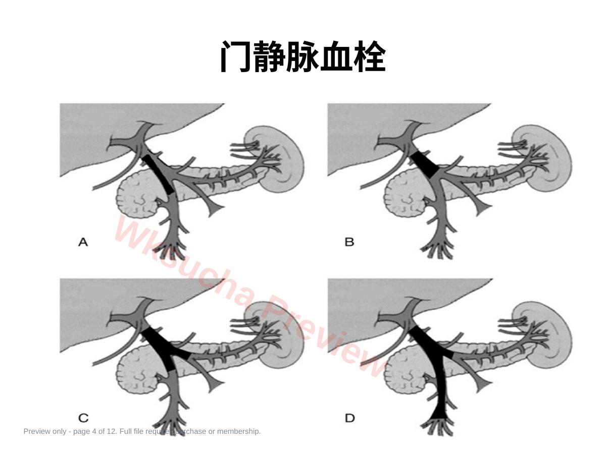 预览第 4 页