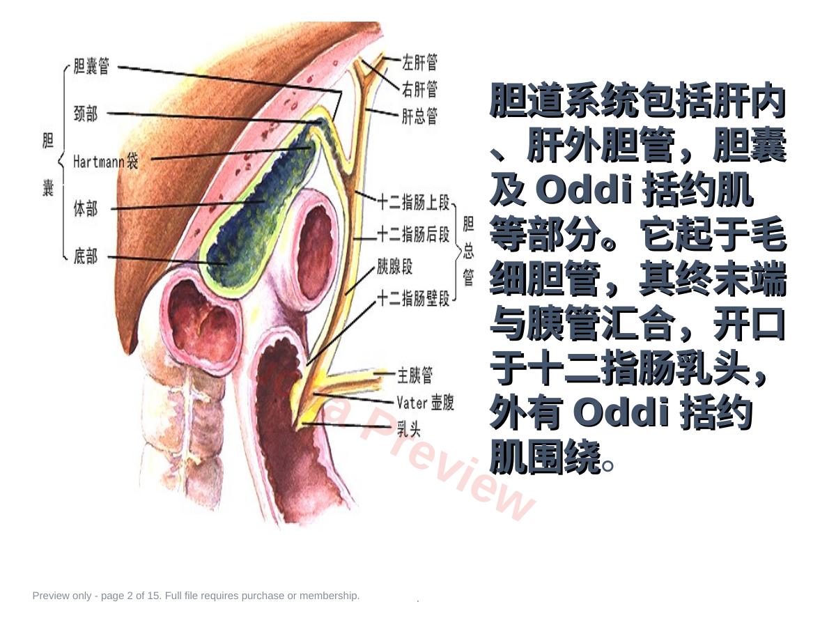 预览第 2 页