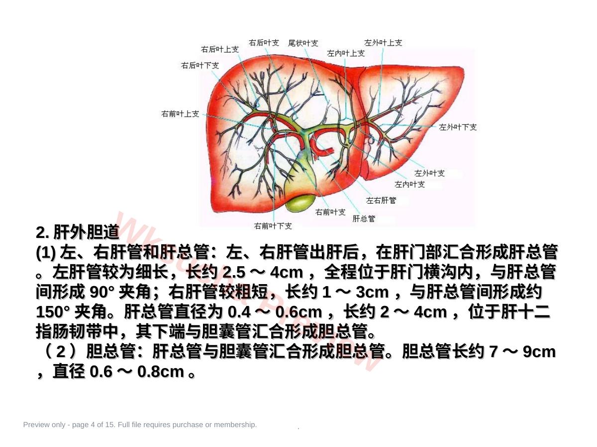 预览第 4 页