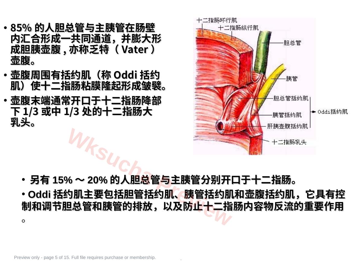 预览第 5 页