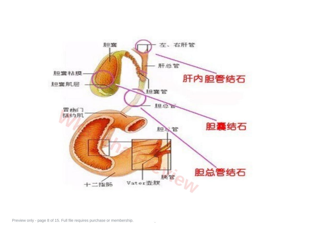 预览第 8 页
