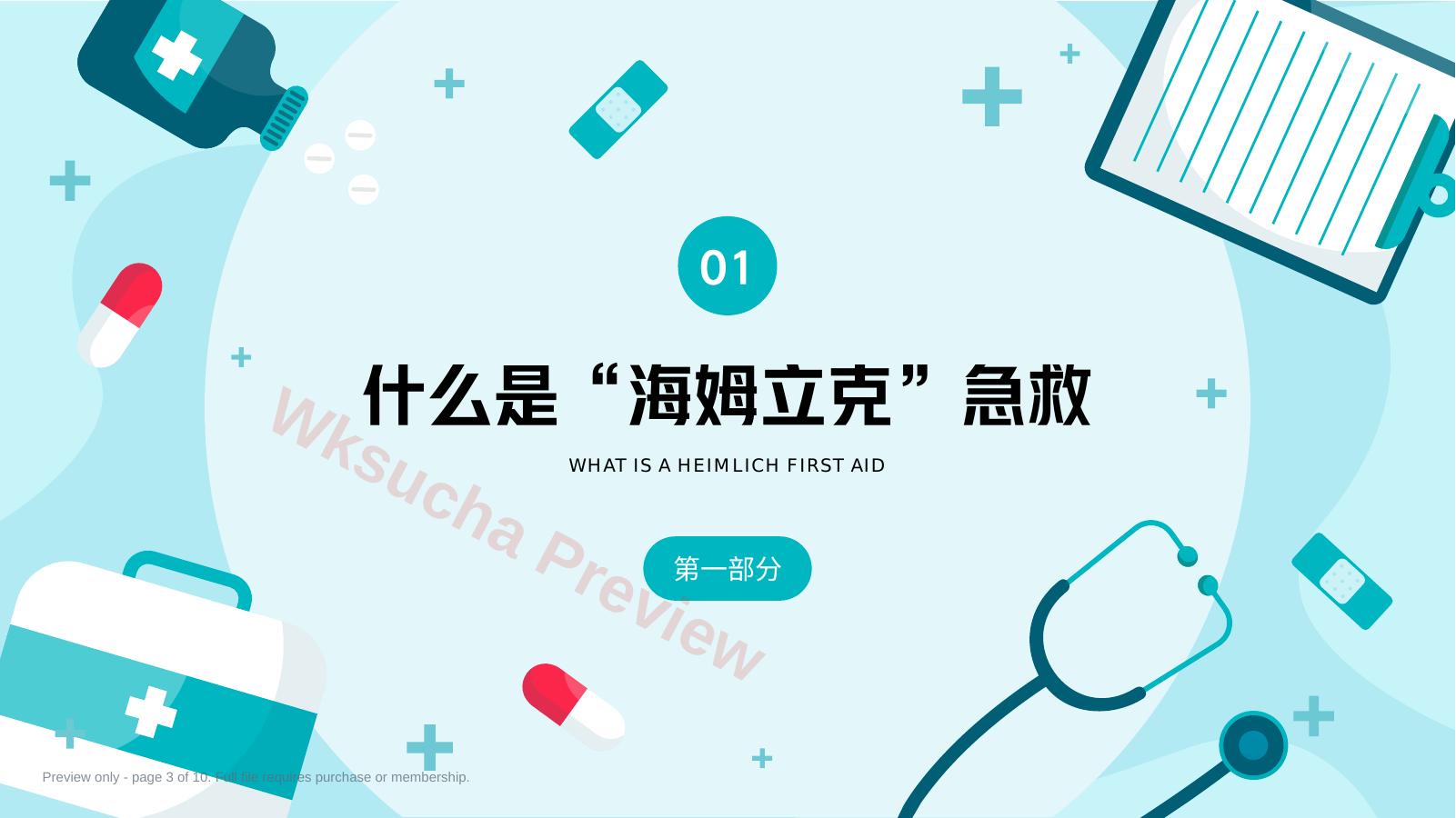 预览第 3 页