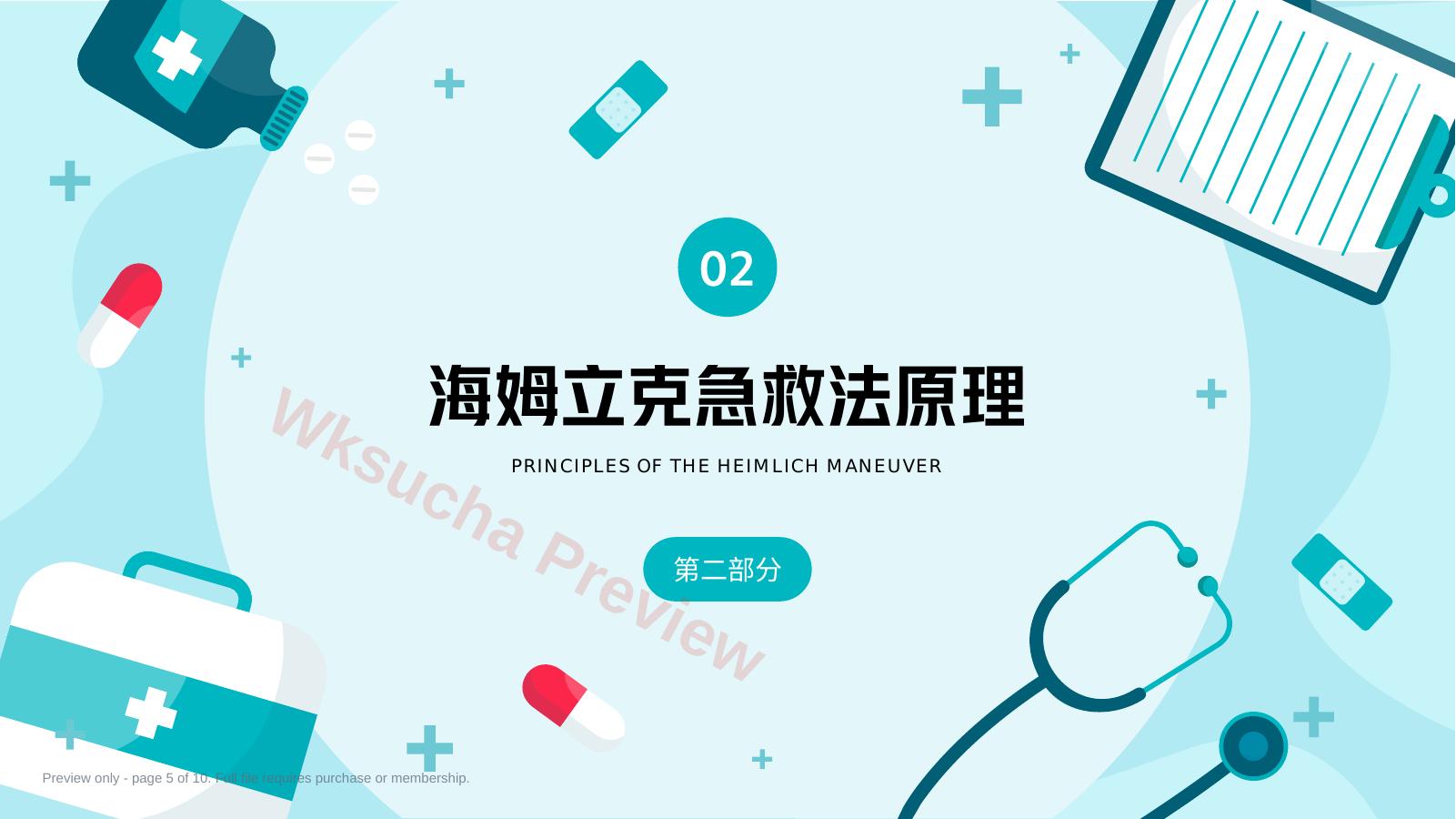预览第 5 页