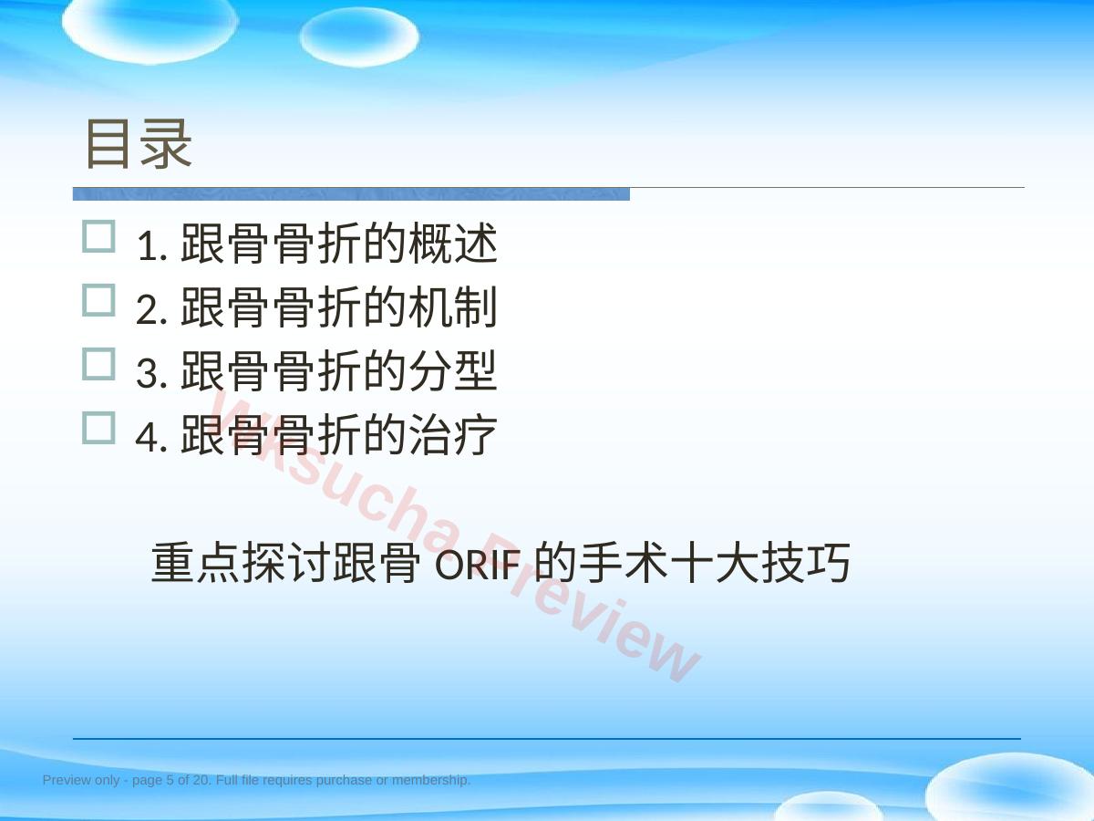 预览第 5 页