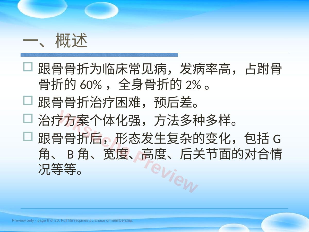 预览第 6 页