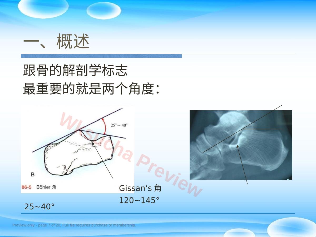 预览第 7 页