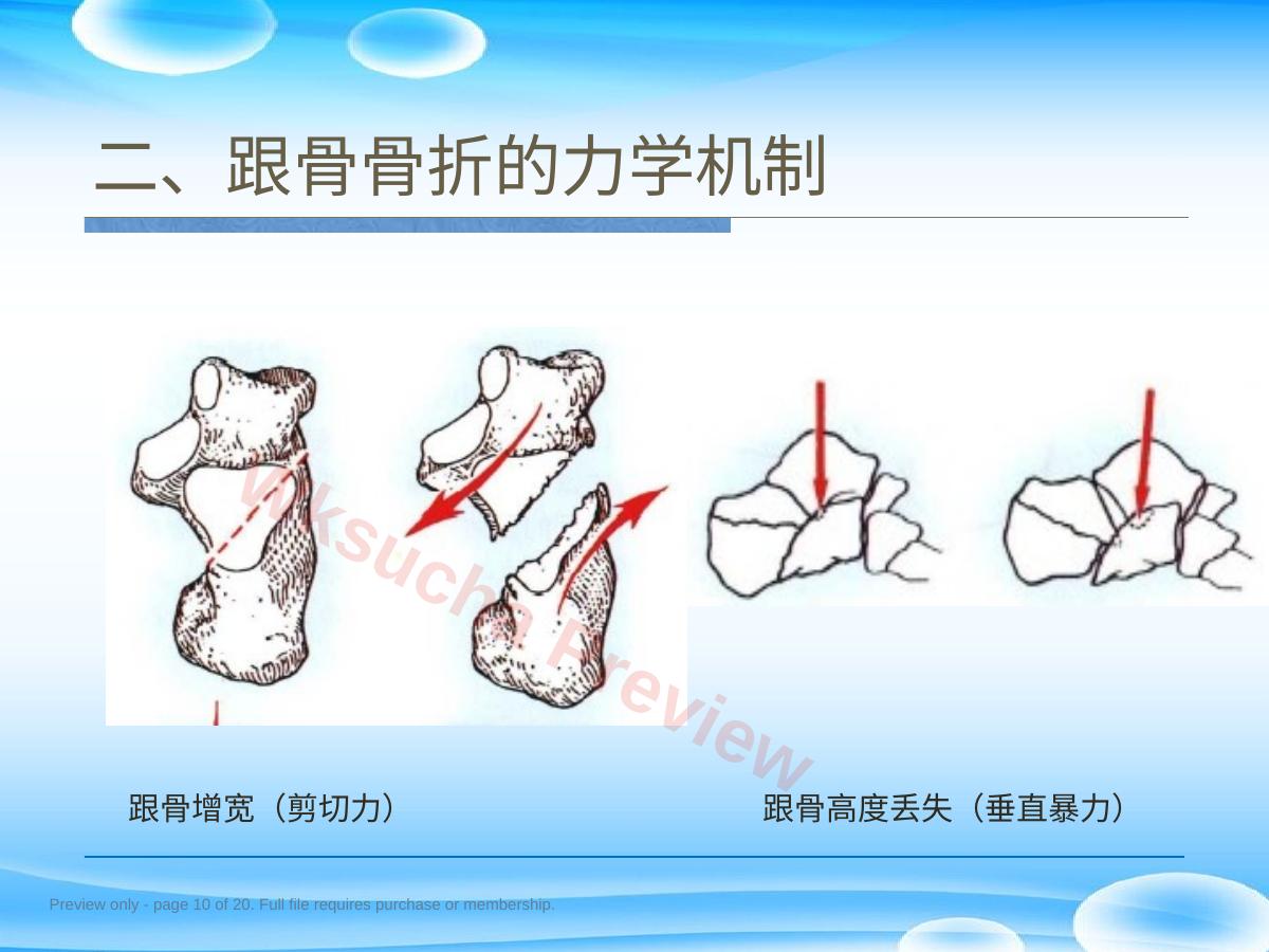 预览第 10 页