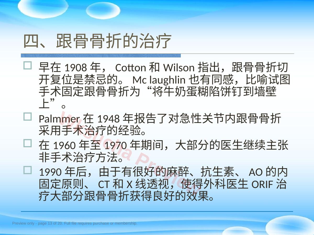 预览第 13 页