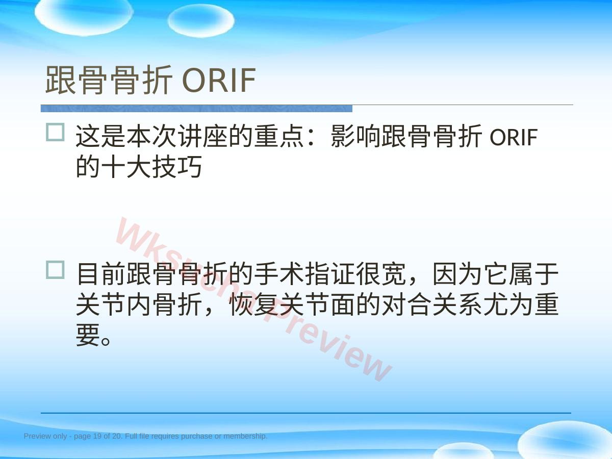 预览第 19 页