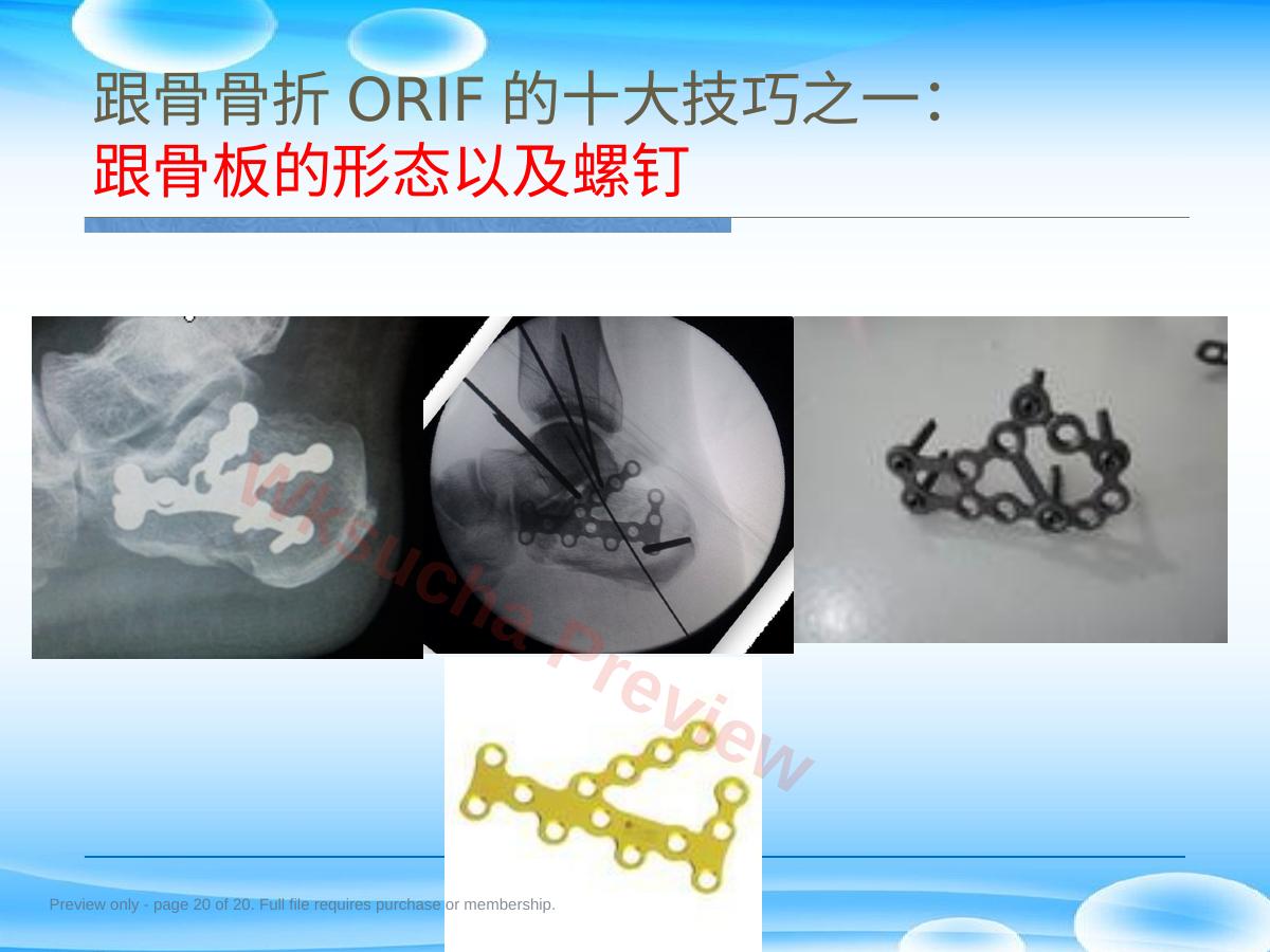 预览第 20 页