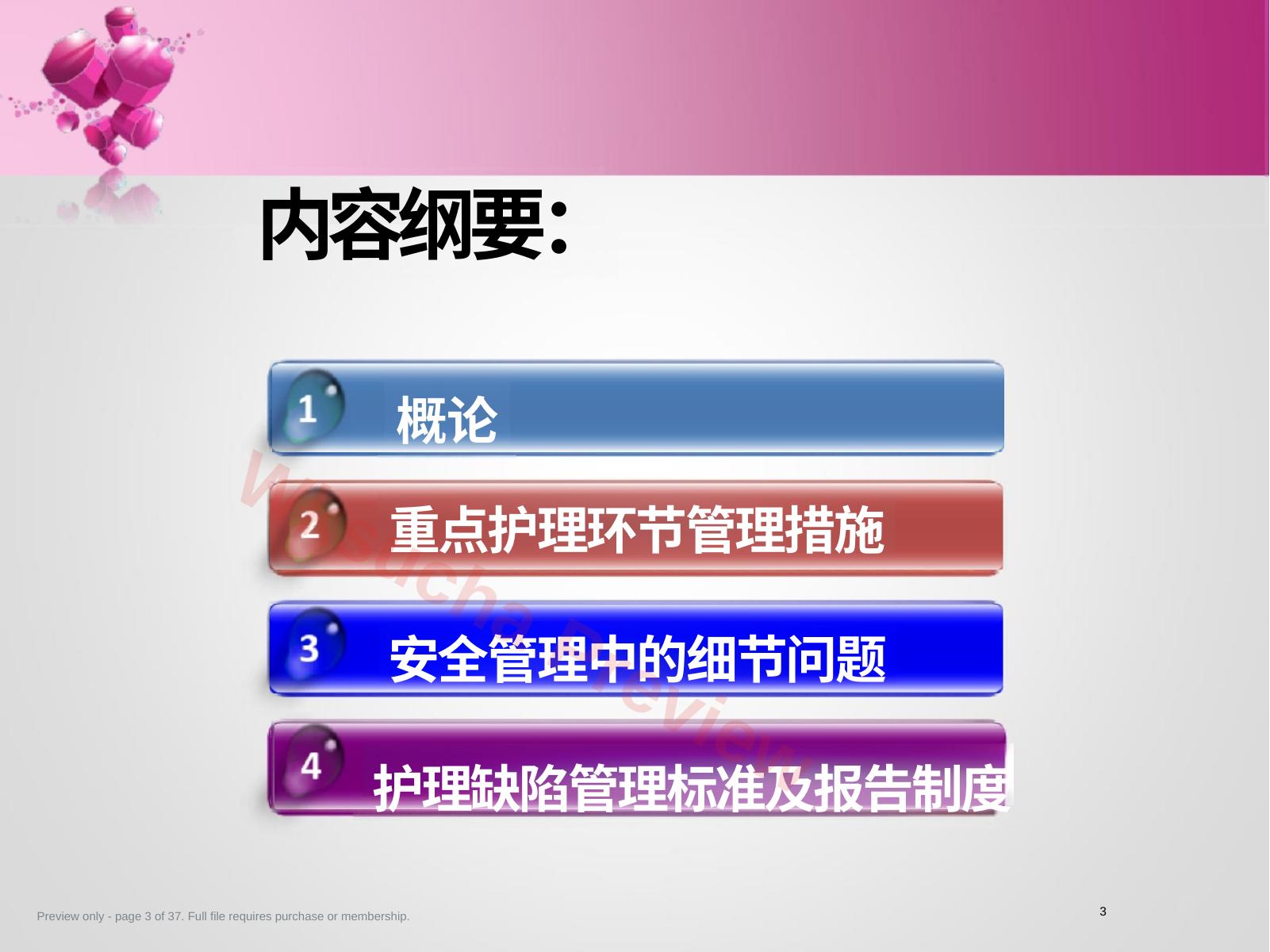 预览第 3 页