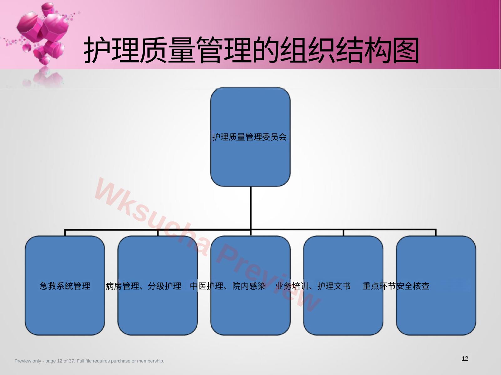 预览第 12 页