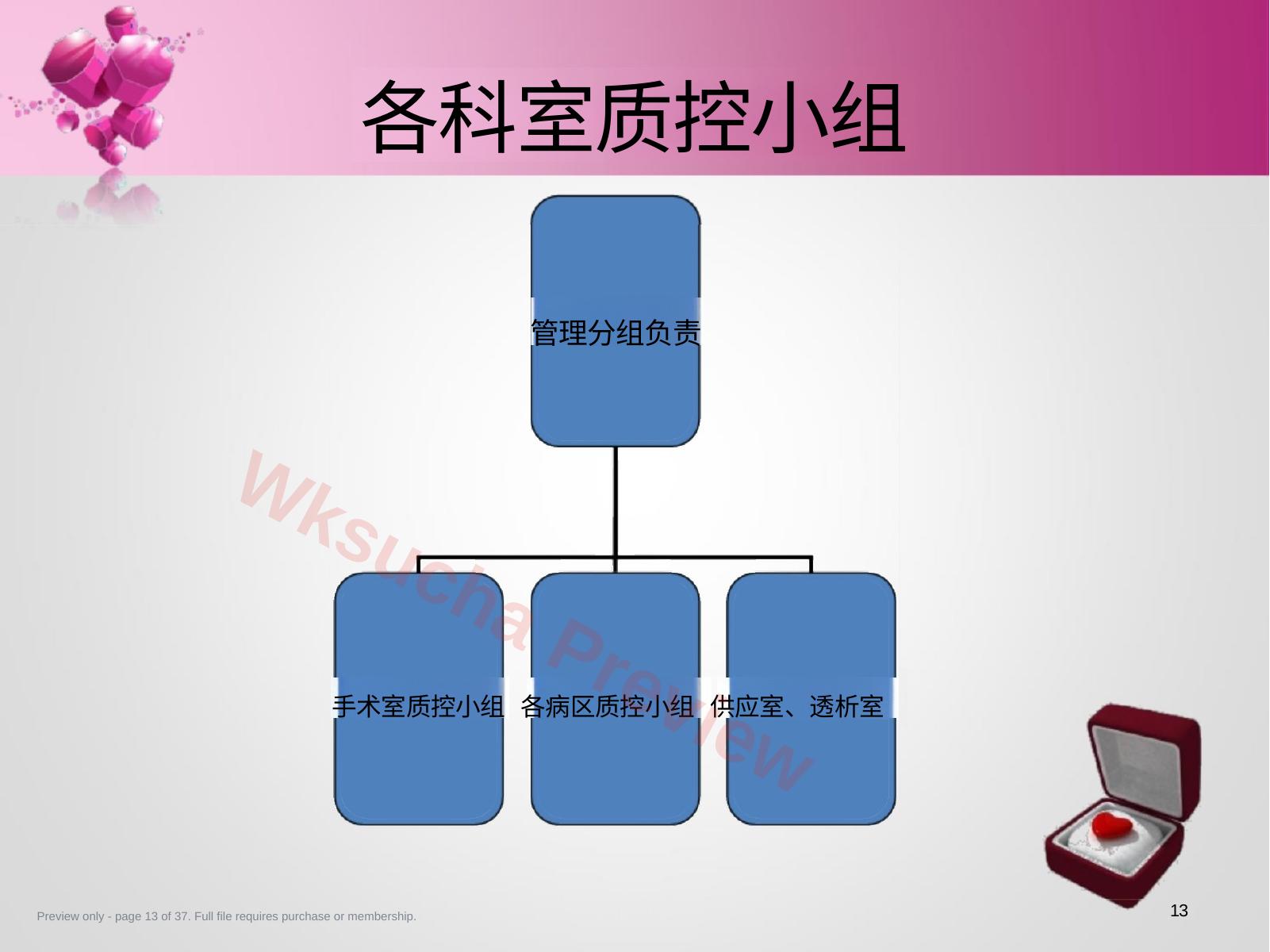 预览第 13 页