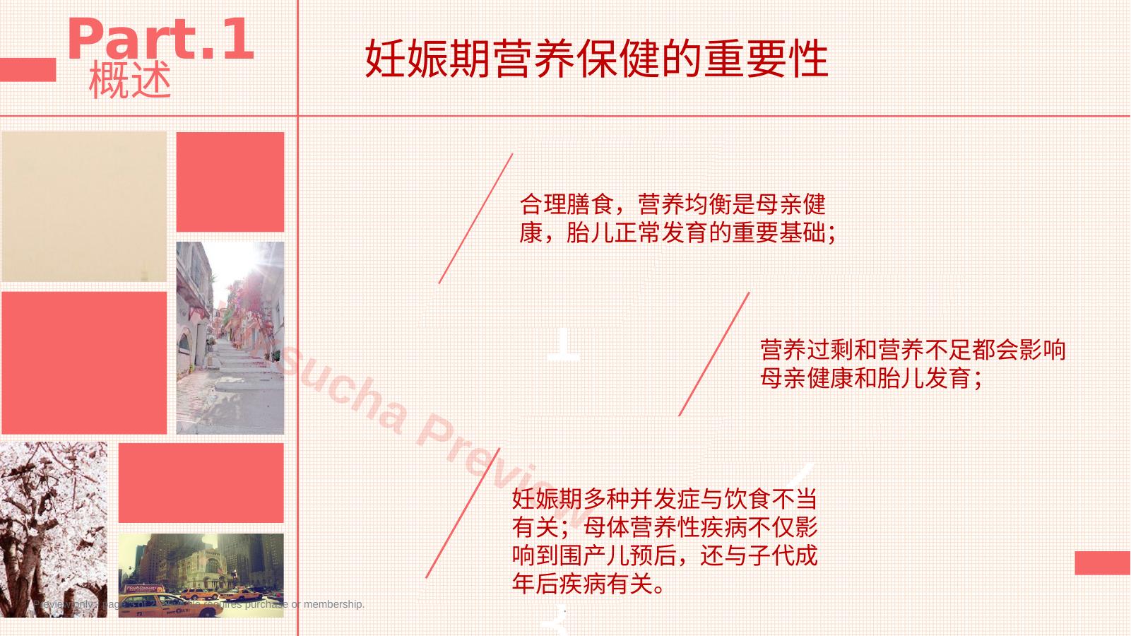 预览第 3 页