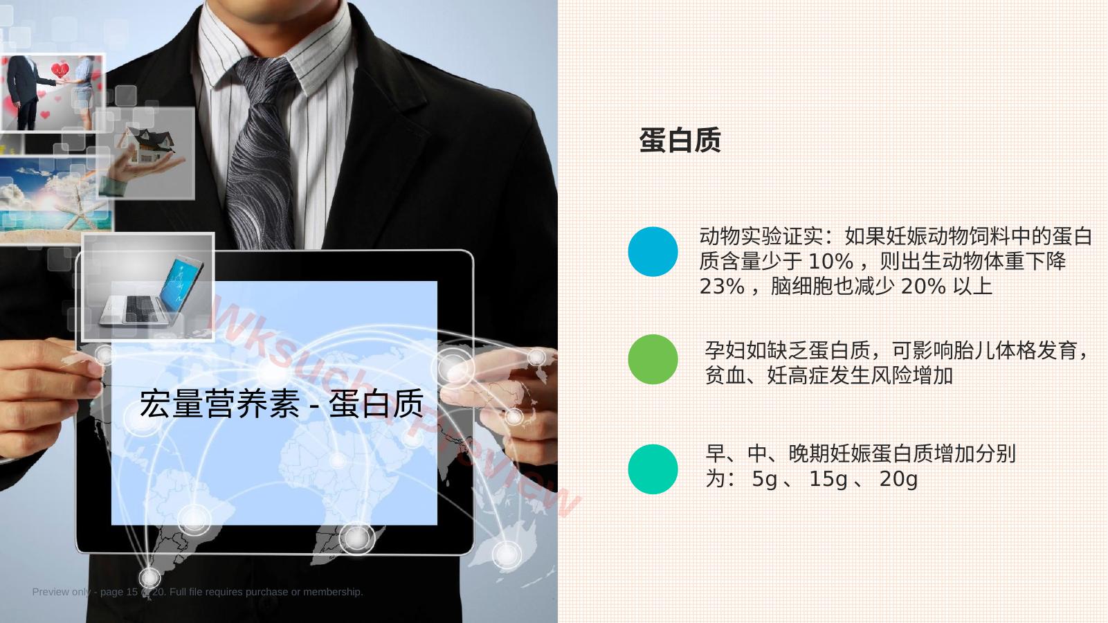 预览第 15 页