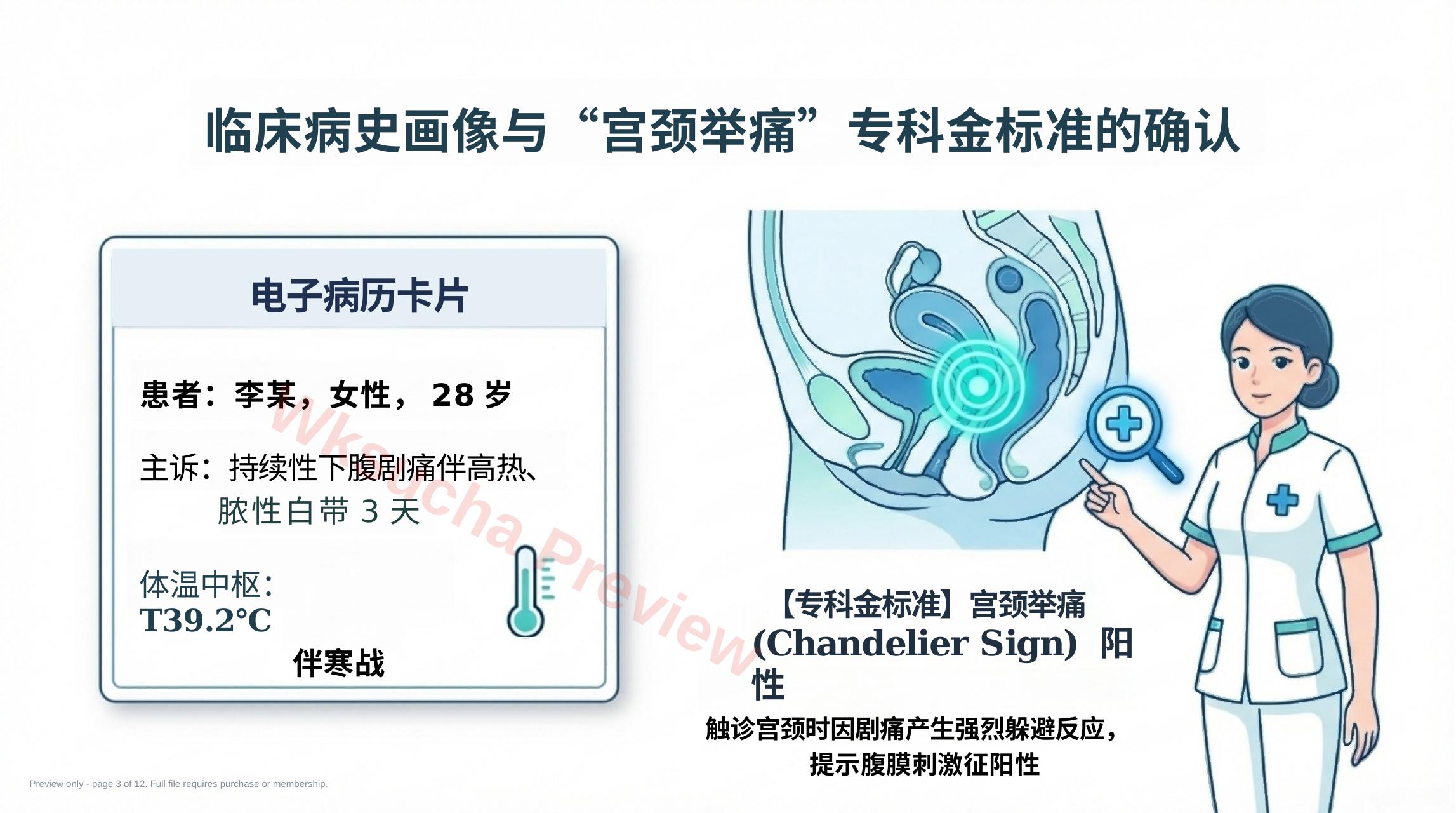 预览第 3 页