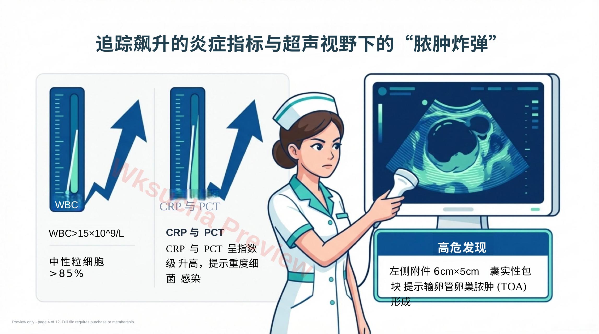 预览第 4 页