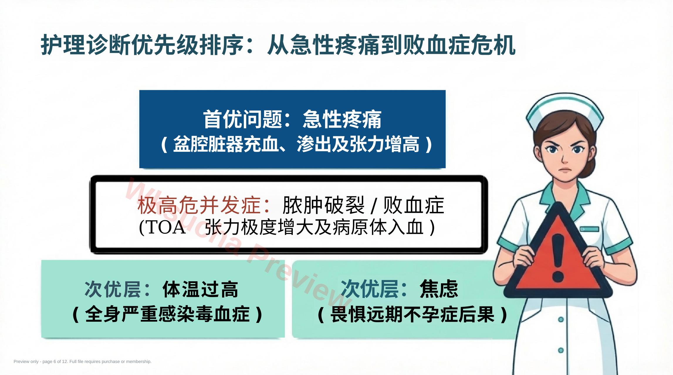 预览第 6 页