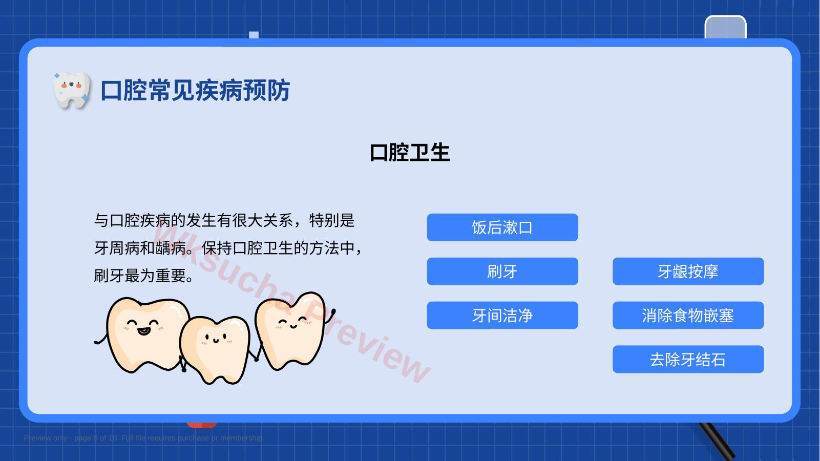 预览第 9 页